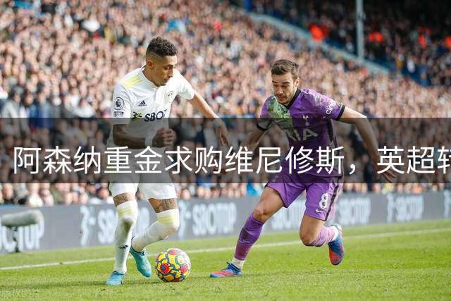 阿森纳重金求购维尼修斯，英超转会市场再掀波澜
