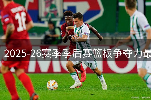 2025-26赛季季后赛篮板争夺力最强球员排名出炉
